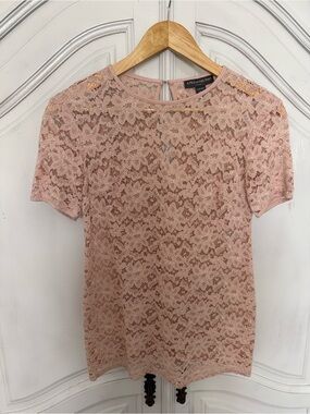 A Pea in the Pod Blush Pink Maternity‎ top. Short Sleeve, Floral Lace. Size S/P
